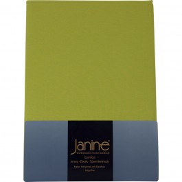  Spannbetttuch Janine Jersey 5007 apfelgrün 