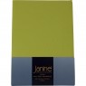 Spannbetttuch Janine Jersey 5007 apfelgrün